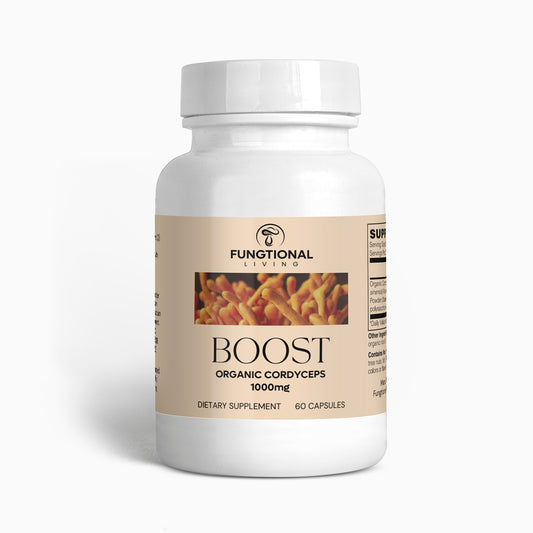 BOOST | Organic Cordyceps Mushroom Capsules