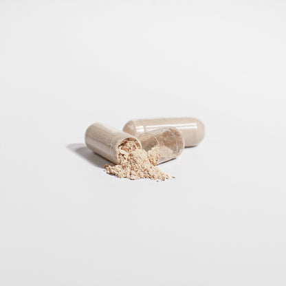FOCUS | Organic Lion's Mane Mushroom Capsule