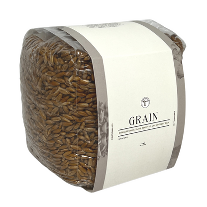 Sterilized Grain (4lbs)