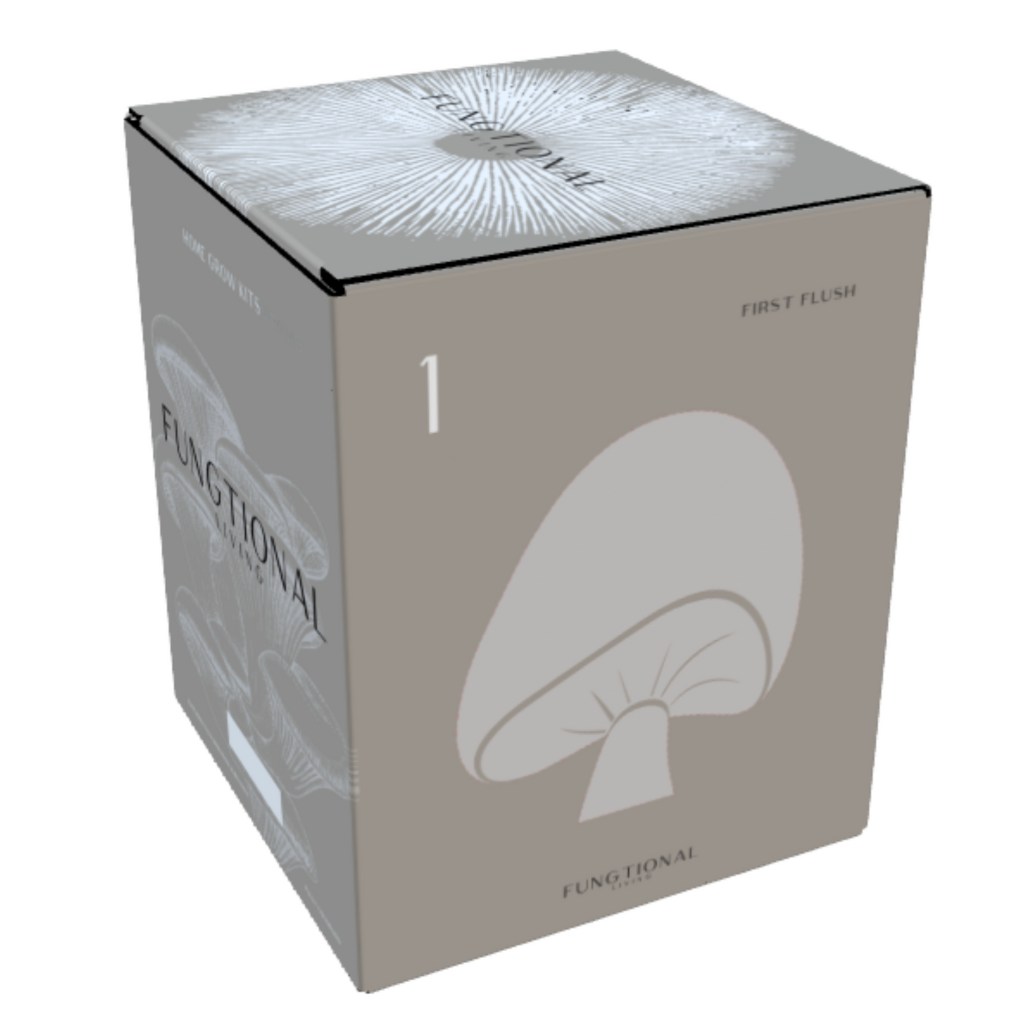 Fungtional Living | Spray and Grow Kit