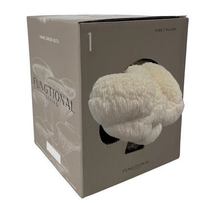 Fungtional Living | Spray and Grow Kit