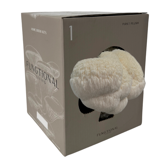 Fungtional Living | Spray and Grow Kit