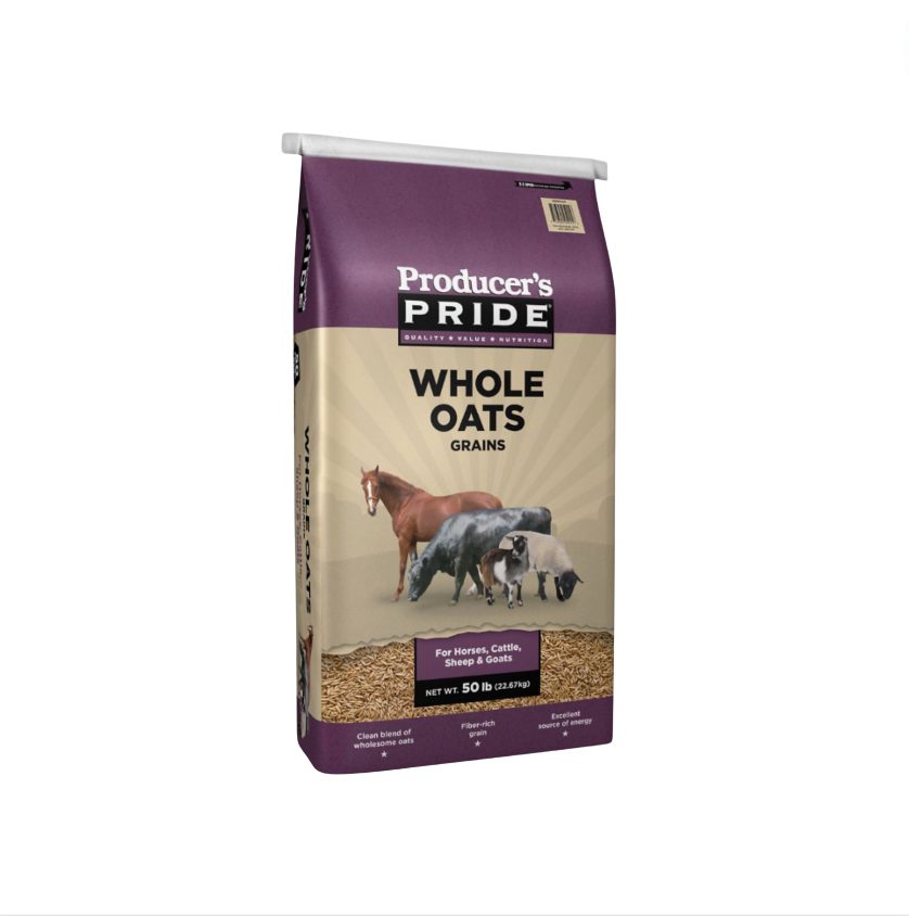 Organic Whole Oats (10lbs)