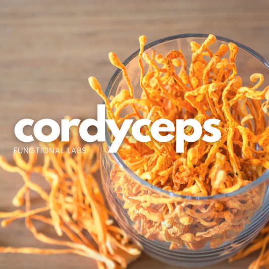 Cordyceps Mushrooms