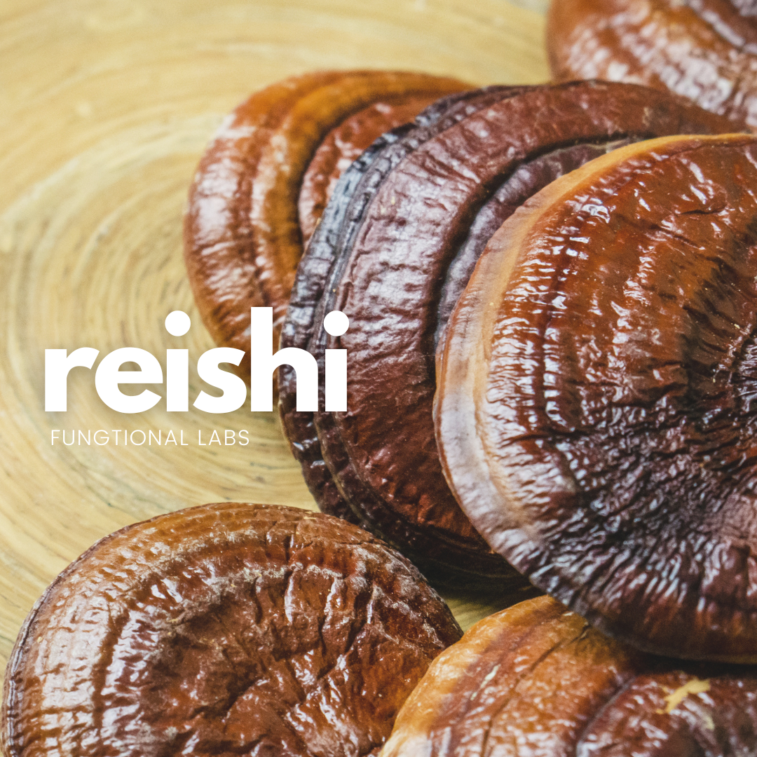 Reishi Mushroom Spawn (4lbs)